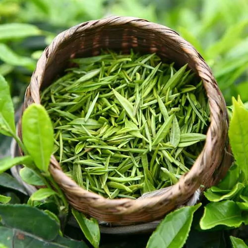 從土地到茶杯 揭秘茶葉種植的科學與藝術(shù)
